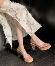 Fashion Apricot Clear Chunky Heel Slide Sandals